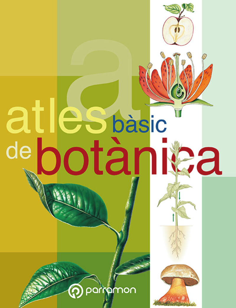atles basic de botanica - Josep Cuerda