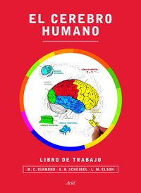 cerebro humano, el - libro de trabajo