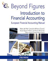 beyond figures - introduction to financial accounting
