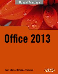 office 2013 - Jose Maria Delgado