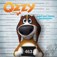 ozzy - ¡corre, ozzy, corre! (storybook)
