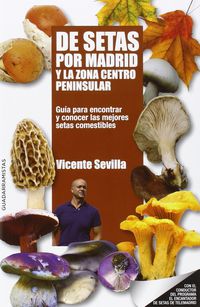 de setas por madrid y la zona centro peninsular - Vicente Sevilla Hidalgo