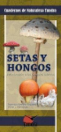 setas y hongos - Francisco Serrano Ezquerra / Victor J. Hernandez Navarro
