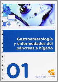 gastroenterologia y enfermedades del pancreas e higado - Pedro Alarcon Blanco / Jose Luis Serrano Martinez