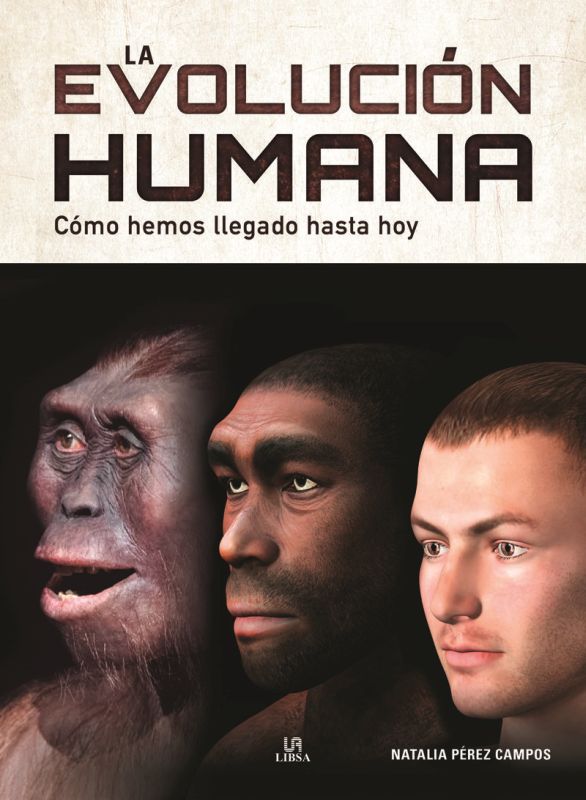 LA EVOLUCION HUMANA - COMO HEMOS LLEGADO HASTA HOY