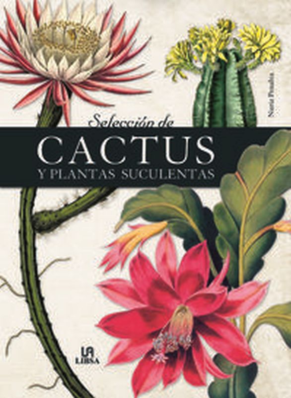 seleccion de cactus y plantas suculentas - Nuria Penalva