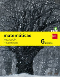 EP 6 - MATEMATICAS (TRIM. ) (AND) - SAVIA