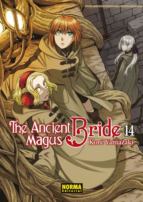the ancient magus bride 14 - Kore Yamazaki