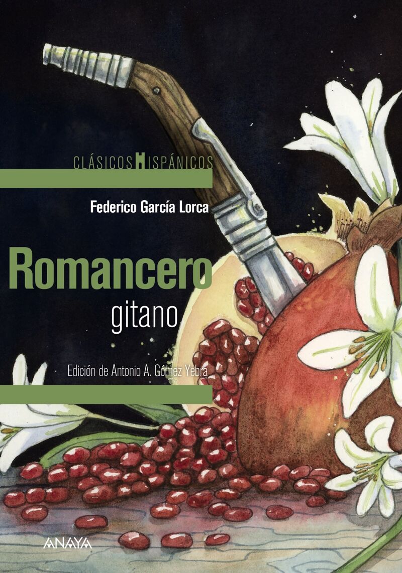 romancero gitano - Federico Garcia Lorca / Raquel Lagartos (il. )