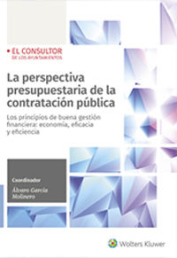 perspectiva presupuestaria de la contratacion publica, la - los principios de buena gestion financiera: economia, eficacia y eficiencia - Alvaro Garcia Molinero