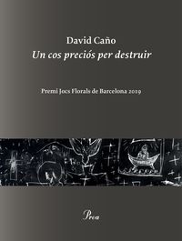 Un cos precios per destruir - David Caño