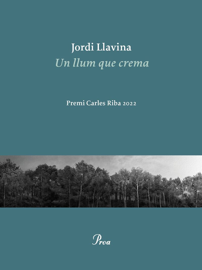 un llum que crema (premi carles riba 2022) - Jordi Llavina