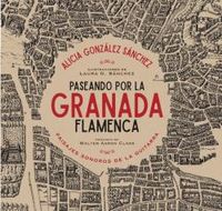 paseando por la granada flamenca - paisajes sonoros de la guitarra - Alicia Gonzalez Sanchez