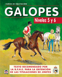 galopes - niveles 5 y 6 - curso de equitacion - Aa. Vv.