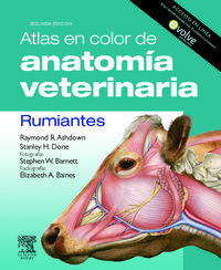 atlas en color de anatomia veterinaria - rumiantes