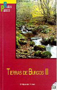 tierras de burgos iii - rutas y paseos - Enrique Del Rivero