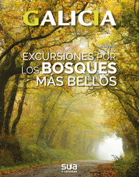 galicia - excursiones por los bosques mas bellos - Anxo Rial