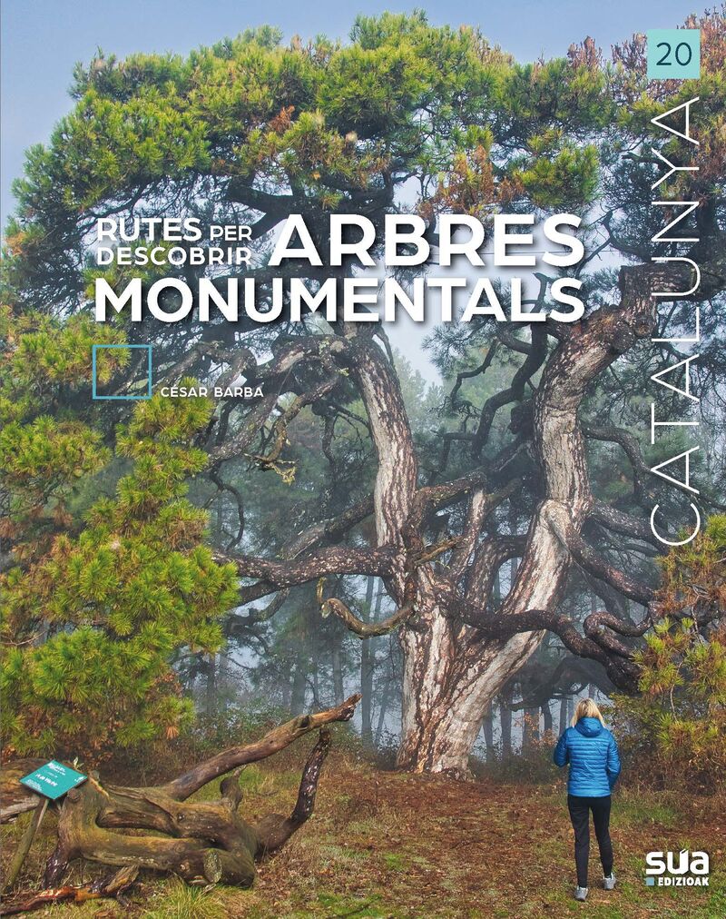 rutes per descobrir arbres monumentals - Cesar Barba