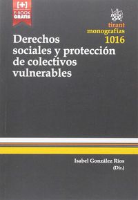 DERECHOS SOCIALES Y PROTECCION DE COLECTIVOS VULNERABLES - TECNICAS DE TUTELA