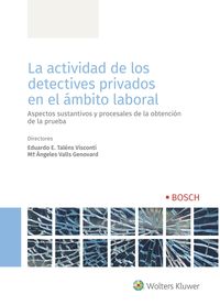 actividad de los detectives privados en el ambito laboral, la - aspectos sustantivos y procesales de la obtencion de la prueba