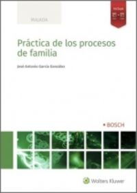 practica de los procesos de familia - Jose Antonio Garcia Gonzalez