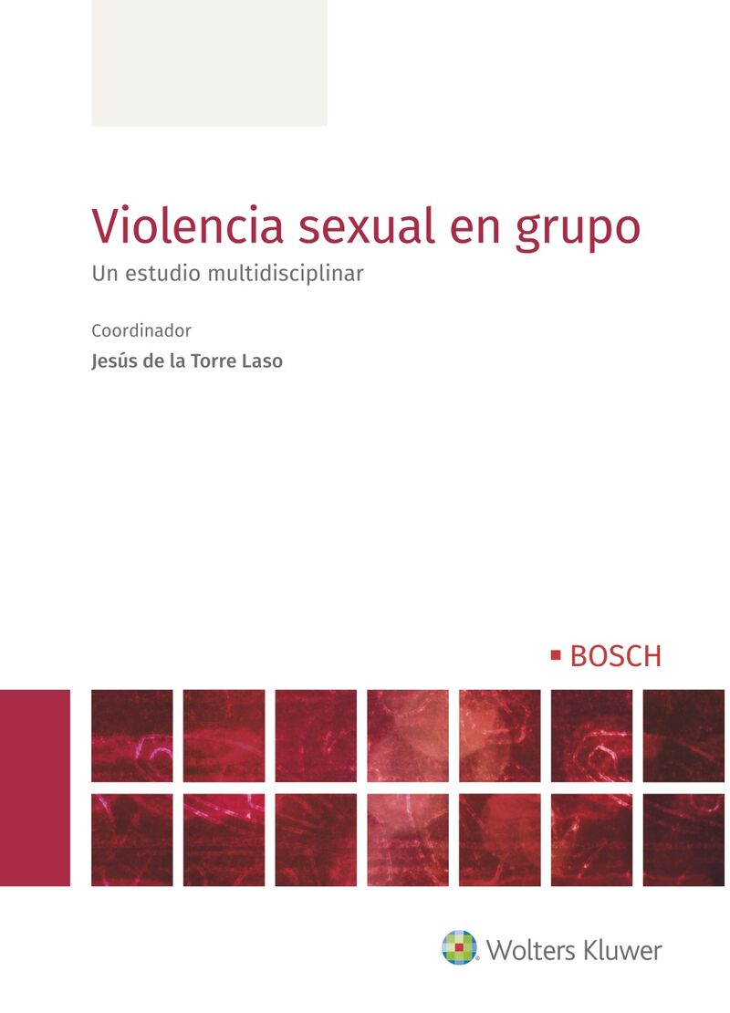 VIOLENCIA SEXUAL EN GRUPO - UN ESTUDIO MULTIDISCIPLINAR