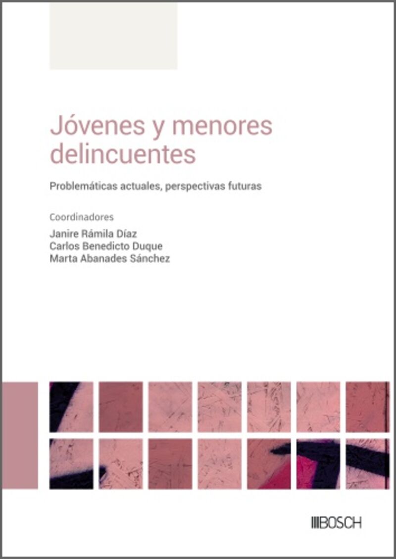 JOVENES Y MENORES DELINCUENTES - PROBLEMATICAS ACTUALES, PE