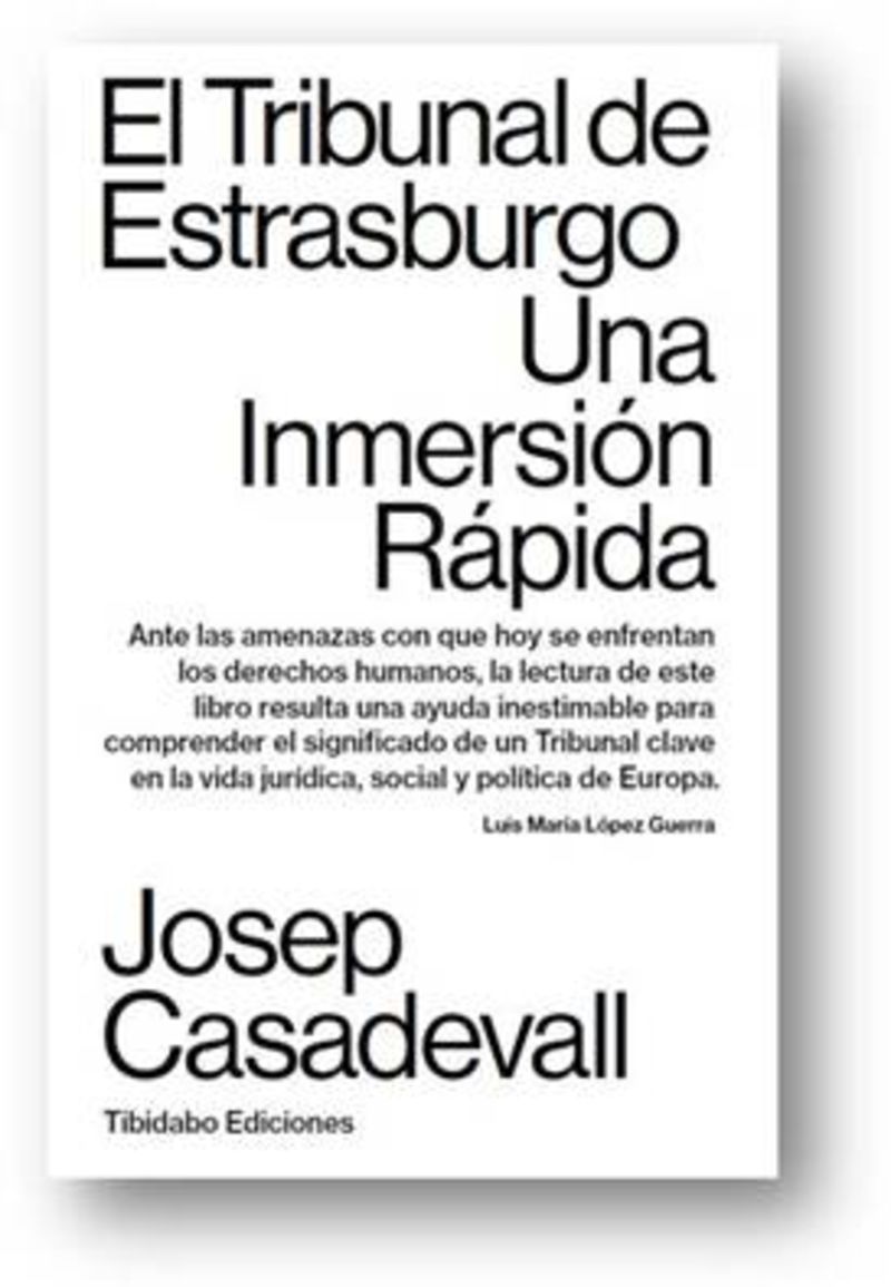 TRIBUNAL DE ESTRASBURGO, EL - UNA INMERSION RAPIDA