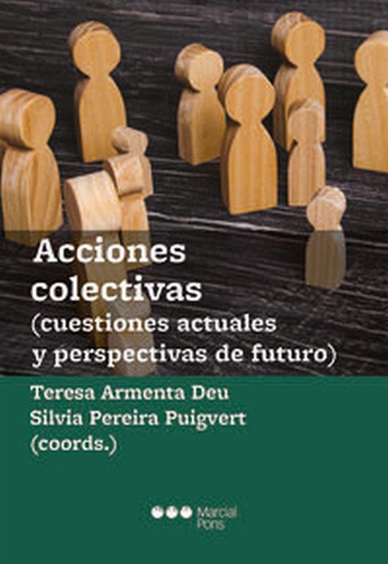 ACCIONES COLECTIVAS (CUESTIONES ACTUALES Y PERSPECTIVAS DE