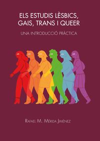 els estudis lesbics, gais, trans i queer - una introduccio practica