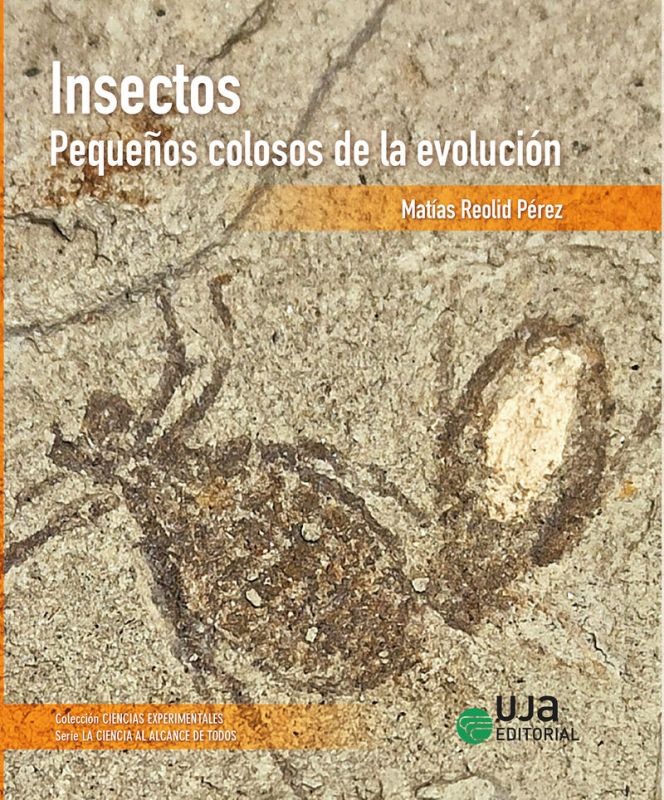 insectos: pequeños colosos de la evolucion - Matias Reolid Perez