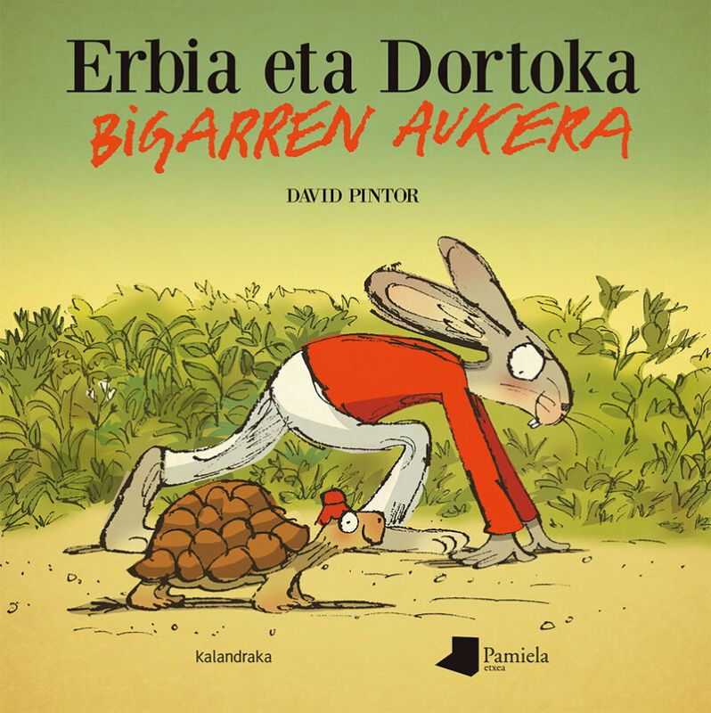 ERBIA ETA DORTOKA - BIGARREN AUKERA