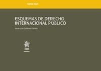 ESQUEMAS DE DERECHO INTERNACIONAL PUBLICO - TOMO XLVI