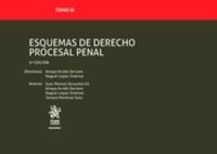 (5 ED) ESQUEMAS DE DERECHO PROCESAL PENAL - TOMO III