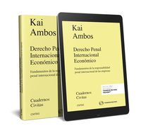 derecho penal internacional economico (duo) - Kai Ambos