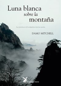 luna blanca sobre la montaña - Damo Mitchell