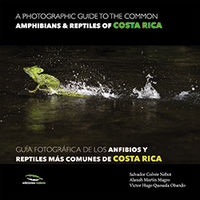 GUIA FOTOGRAFIA DE LOS ANFIBIOS Y REPTILES MAS COMUNES DE COSTA RICA = A PHOTOGRAPHY GUIDE TO THE COMMON AMPHIBIANS & REPTILES OF COSTA RICA