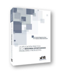 aplicacion practica de la segunda oportunidad, la - problemas y respuestas - Carlos Puigcerver Asor / Federico Adan Domenech