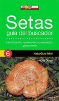 SETAS - GUIA DEL BUSCADOR