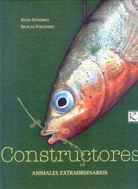 constructores - Xulio Gutierrez