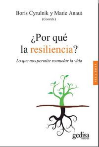 ¿por que la resiliencia?