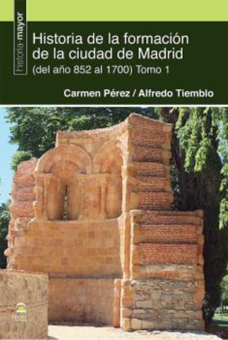 HISTORIA DE LA FORMACION DE LA CIUDAD DE MADRID 1 (DEL 852 AL 1700)