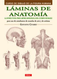 laminas de anatomia - la estructura oseo-artro-miologica del cuerpo humano - Giovanni Civardi