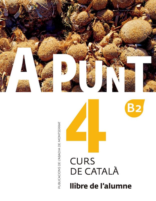 A PUNT - CURS DE CATALA - ALUMNE 4