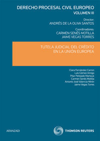 derecho civil europeo iii - Mª Carmen Senes Motilla / Andres Oliva Santos / Jaime Vegas Torres