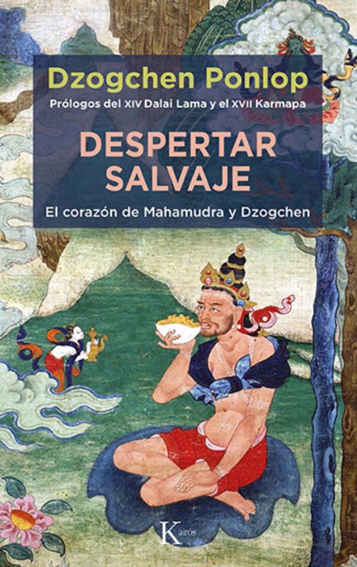 DESPERTAR SALVAJE - EL CORAZON DE MAHAMUDRA Y DZOGCHEN