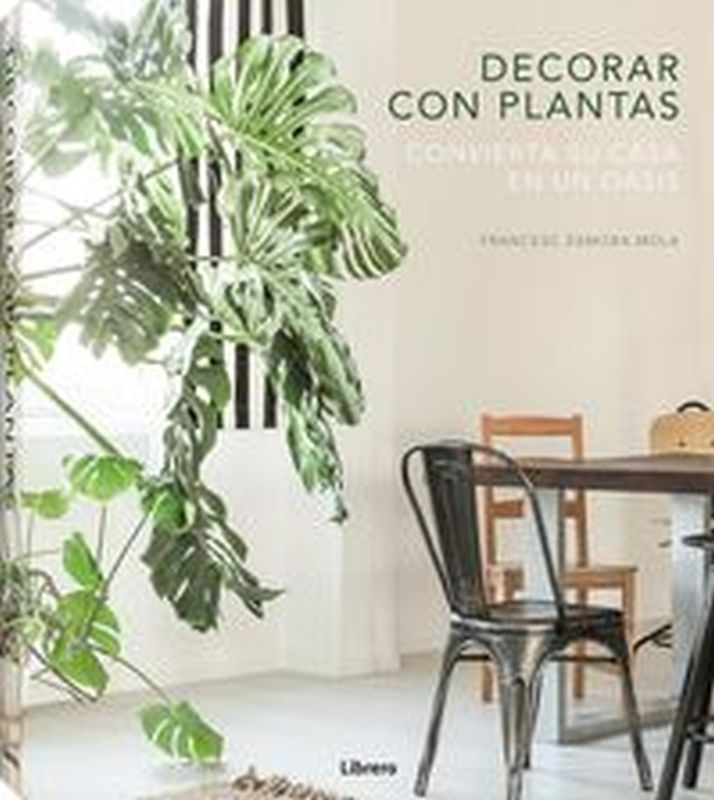 decorar con plantas - convierta su casa en un oasis