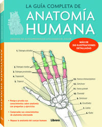 anatomia humana - la guia completa